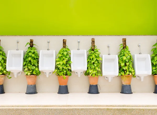 Bagno interno con fila di orinatoi bianchi e piante ornamentali — Foto Stock