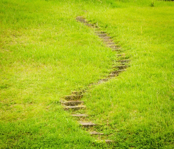 Trappa på grönt gräs. — Stockfoto