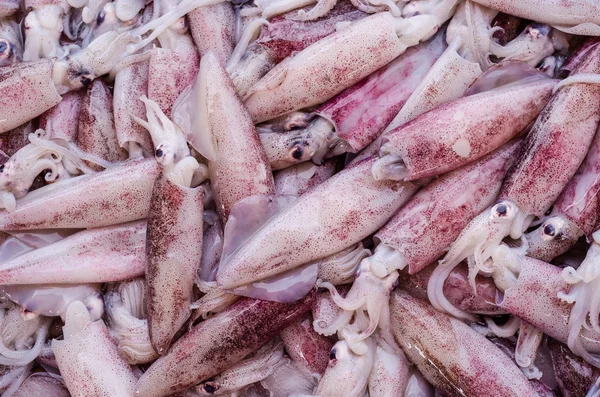 Piyasada taze mürekkep balığı — Stok fotoğraf