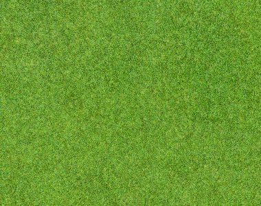 Golf sahasından güzel yeşil çimen deseni