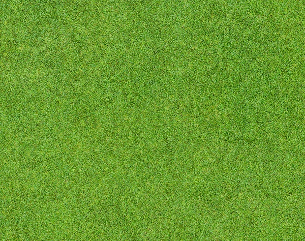 Magnifique motif d'herbe verte du terrain de golf — Photo