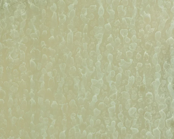 Пятна сухой воды на стеклянной стене — стоковое фото