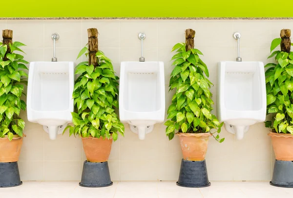 Интерьер туалета с белыми рядами писсуаров и декоративными растениями — стоковое фото