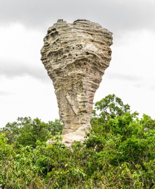 doğal eski taş şaşırtıcı şekil