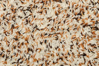pişmemiş mix pirinç taneleri arka plan detay 