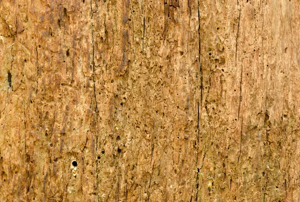 Vista lateral de textura de madera vieja —  Fotos de Stock