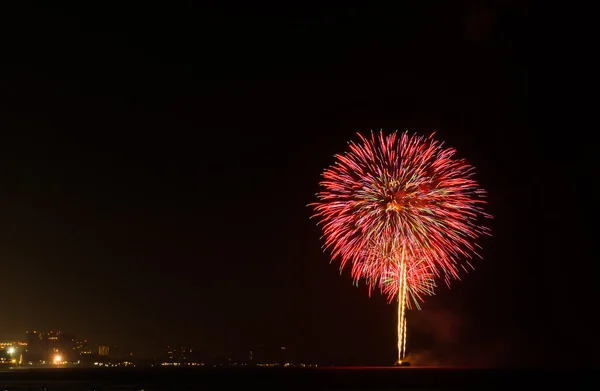 夜の花火 — ストック写真