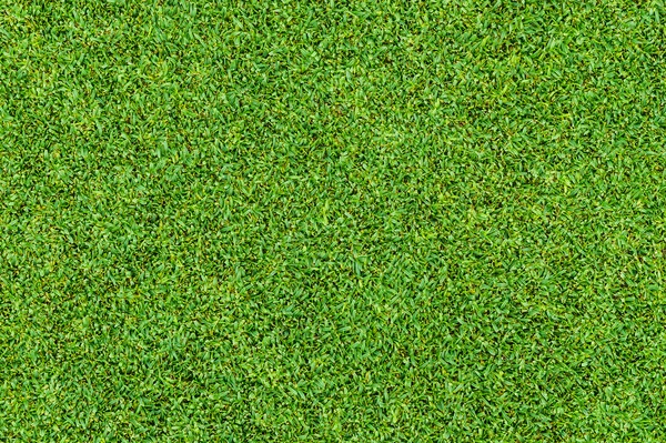 Magnifique motif d'herbe verte du terrain de golf — Photo