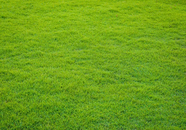 Pola Rumput Hijau Dari Lapangan Golf Di Sunset Tim — Stok Foto