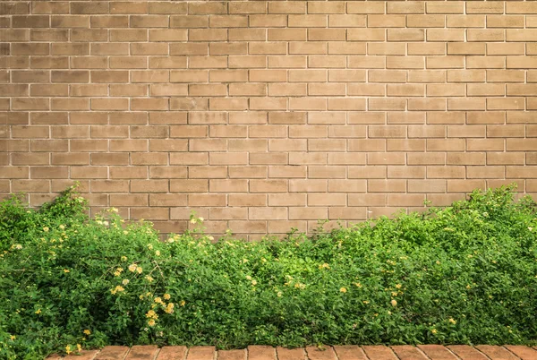 Decorative brown brick wall with grass — Stock Photo, Image