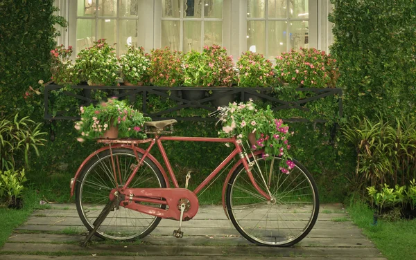 Rotes Fahrrad mit weißem Fenster und Gartenhintergrund — Stockfoto