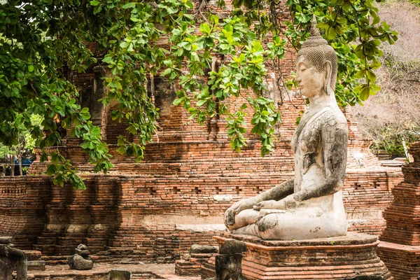 Vieille statue de bouddha — Photo