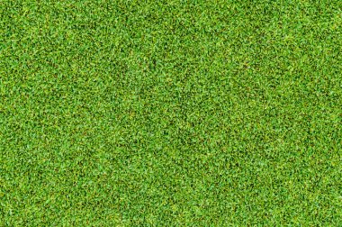 Golf sahasından güzel yeşil çimen deseni