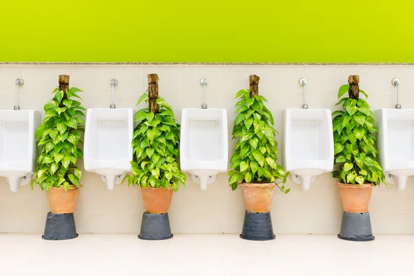 Интерьер туалета с белыми рядами писсуаров и декоративными растениями — стоковое фото