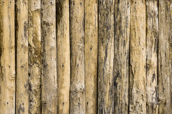 Detail of wood texture decorative — Stock Photo, Image