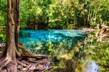sa nam phut Milli Parkı, Tayland