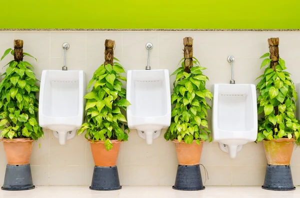 Bagno interno con fila di orinatoi bianchi e piante ornamentali — Foto Stock