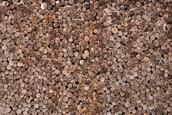 Decorative cross section view  cutting wood — Stock Photo, Image