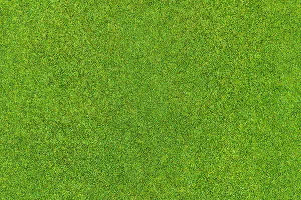 Magnifique motif d'herbe verte du terrain de golf — Photo