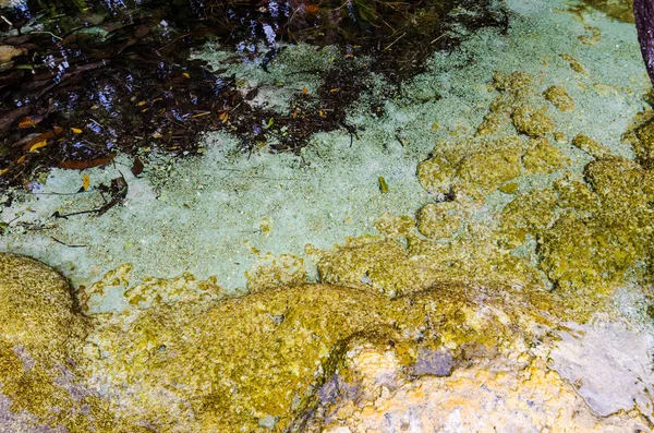 Un asceta es el nombre de la hermosa piscina de primavera — Foto de Stock