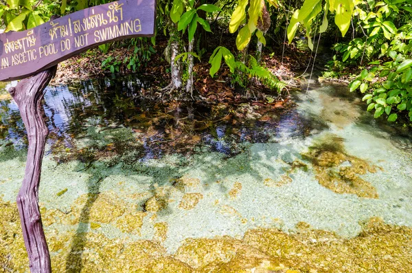 An Ascetic is name of beautiful spring pool — Stock Photo, Image