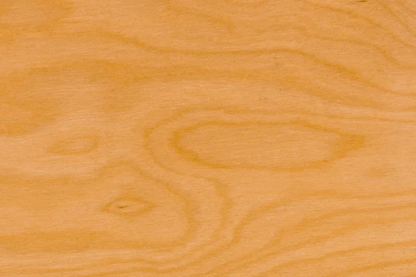 Fond de surface en bois de bouleau — Photo