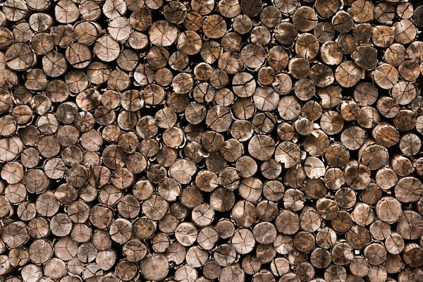 Dekorativa tvärsnitt Visa skärande wood — Stockfoto