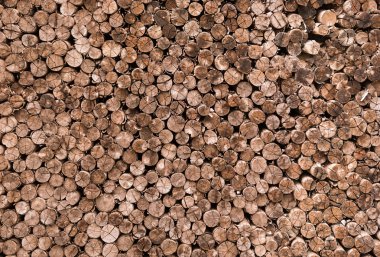 Dekoratif kesit görünümü kesme ahşap