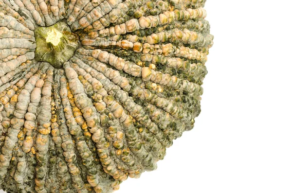 Raw thai pumpkin — Stock Photo, Image