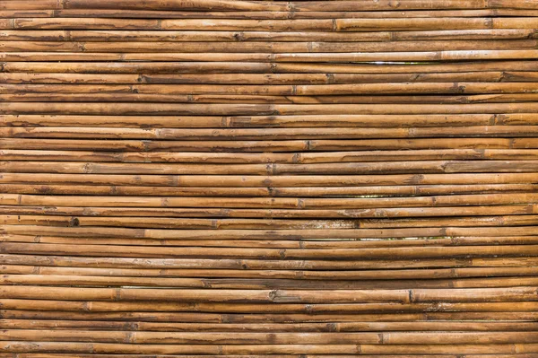 Bamboo wood of fence wall background — Stock Photo, Image