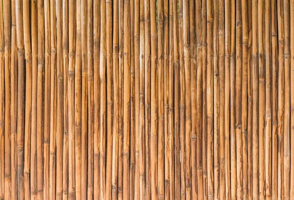 竹フェンス壁背景の木 — ストック写真