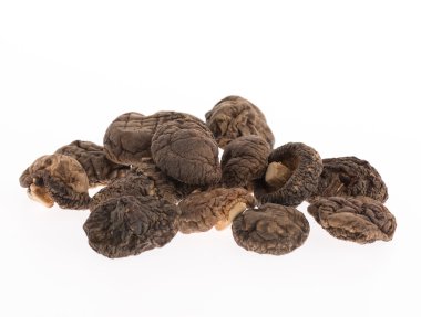 Beyaz arka planda kurutulmuş shiitake mantarı.