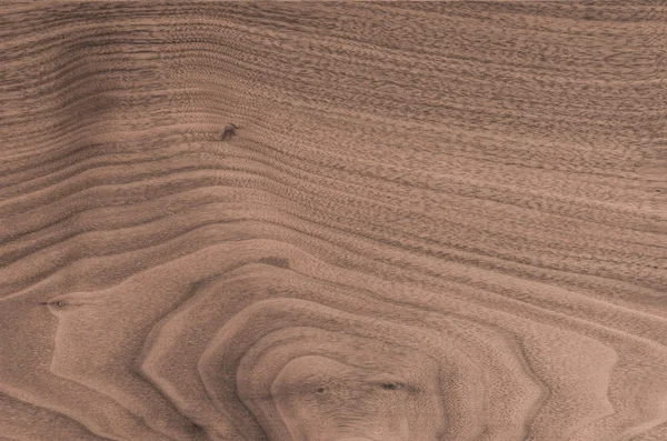 Background of Walnut wood surface — Stock Photo, Image