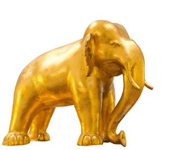 Beyaz arka plan üzerinde izole altın fil