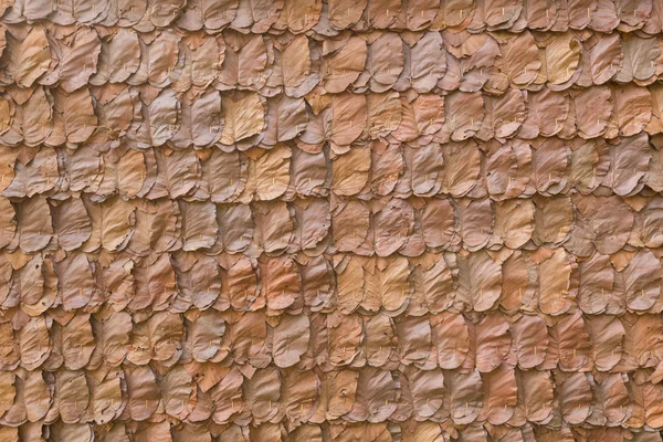 Decorative dry leaves on traditional wall — Stock Photo, Image