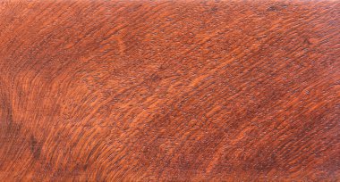 arka plan ve makro Ormosia odun dokusuna