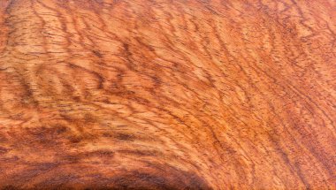 background and texture of Macro Ormosia wood clipart