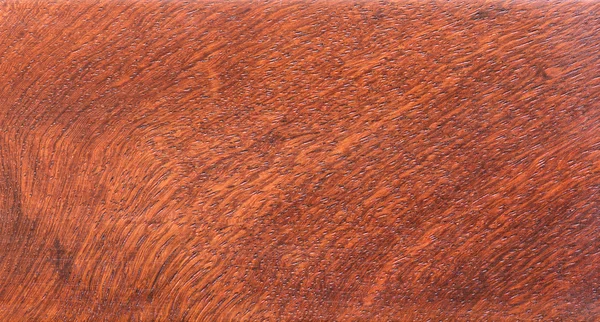 Pozadí a textury dřeva makro Ormosia — Stock fotografie