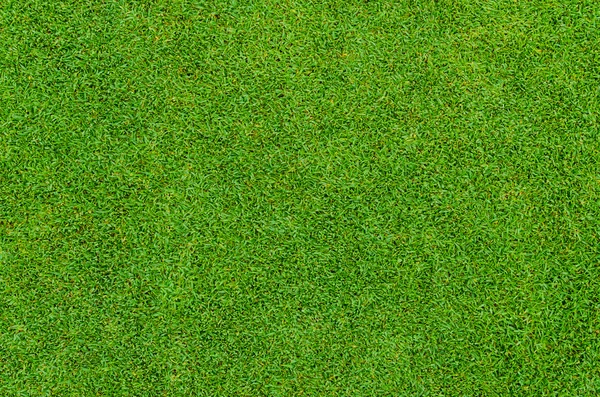 Узор зеленой травы с поля для гольфа — стоковое фото