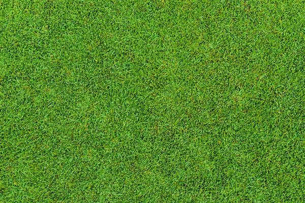 Beautiful green grass pattern from golf course — Stock Photo, Image