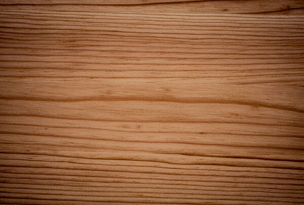 фон поверхности сосны
