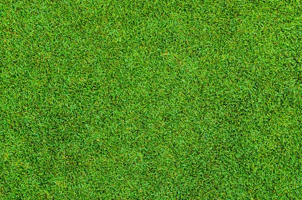 Motif d'herbe verte du golf — Photo