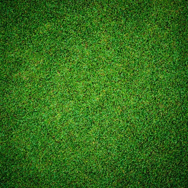 Motif d'herbe verte du golf — Photo