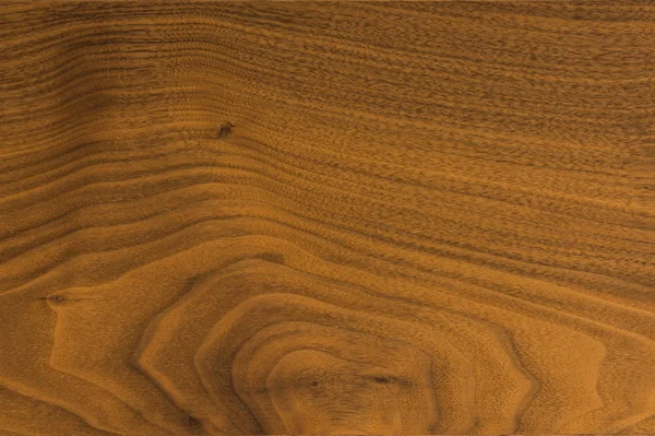 Background of Walnut wood surface — Stock Photo, Image