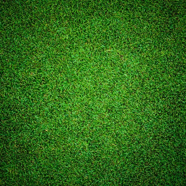 Green grass pattern from golf — Stock Photo, Image