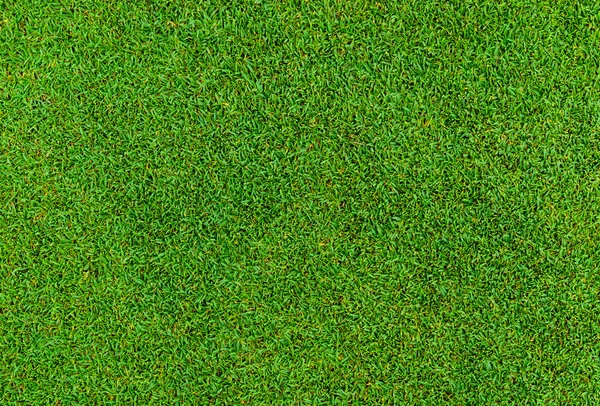 Zelené trávě vzorek z golfu — Stock fotografie