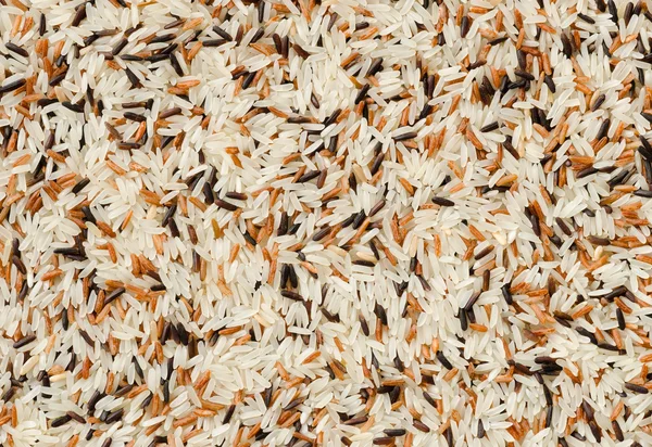 Detail of uncooked mix rice grains background — Stock Photo, Image