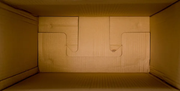 Escondido dentro de una caja de cartón — Foto de Stock