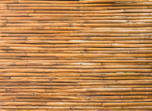 竹フェンス壁背景の木 — ストック写真