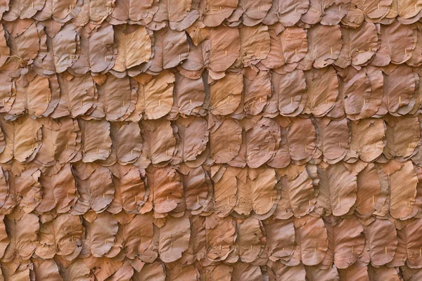 Διακοσμητικά ξηρών φύλλων στο παραδοσιακό τοίχο — Φωτογραφία Αρχείου